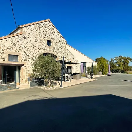 La Petite Felixiere, Independants A 10 Min De Cholet, 25 Min Du Puy Du Fou Et 35 Min De Nantes 4* Saint-André-de-la-Marche
