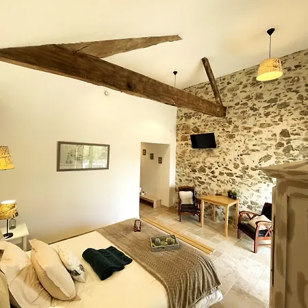 La Petite Félixière à 25 Min Du Puy Du Foù, 10 Min De Cholet, Et 35 Min De Nantes 4*