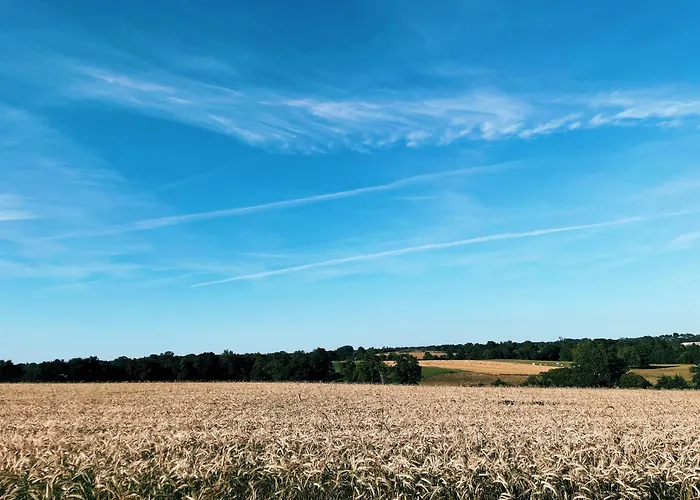 La Petite Felixiere 3*