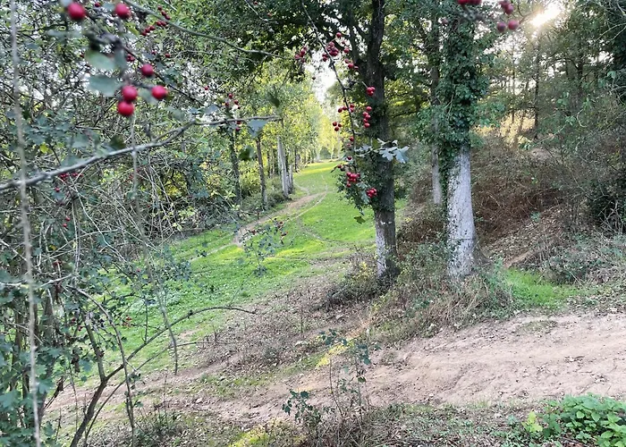 La Petite Felixiere 3*