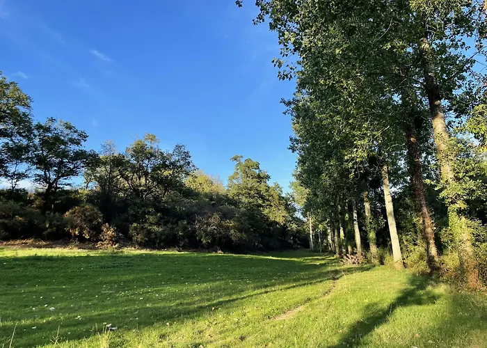 La Petite Felixiere Saint-Andre-de-la-Marche